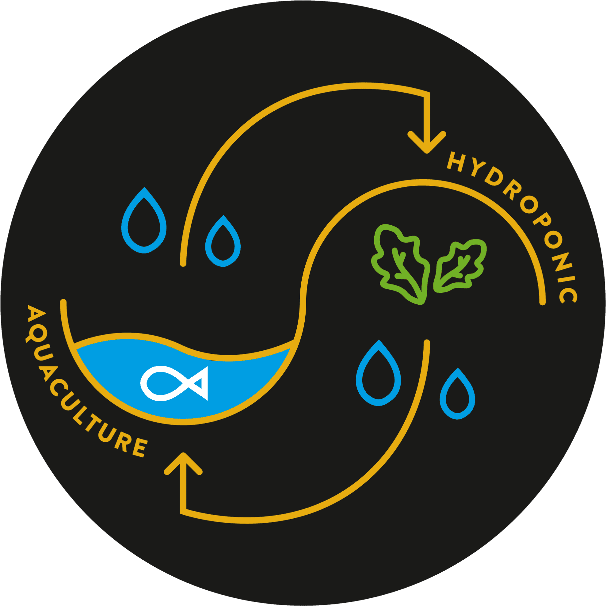 Acquacoltura, idroponica (schema del ciclo)